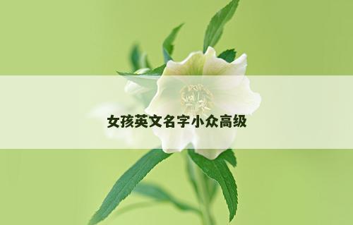 女孩英文名字小众高级